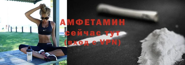 гашик Няндома